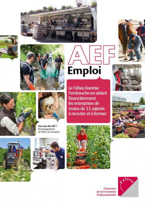 AEF EMPLOI : Bénéficiez d’aides à l’embauche de vos salariés