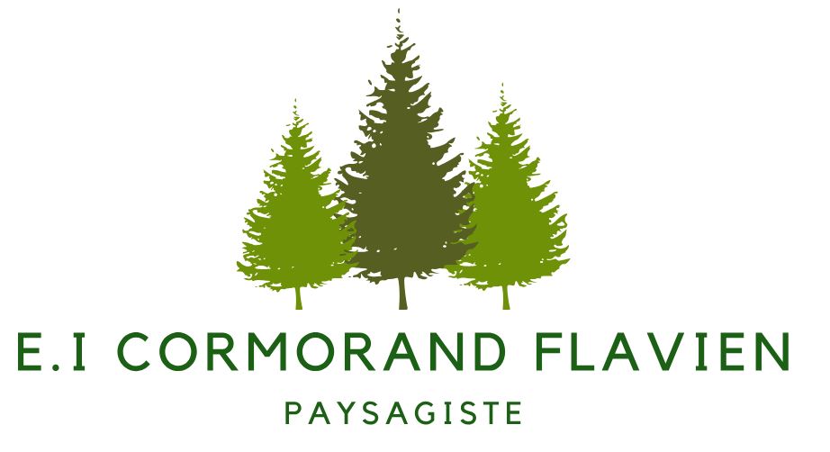 Logo CORMORAND Flavien