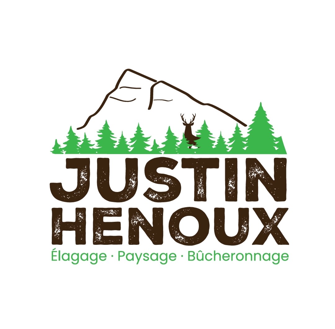 logo HENOUX